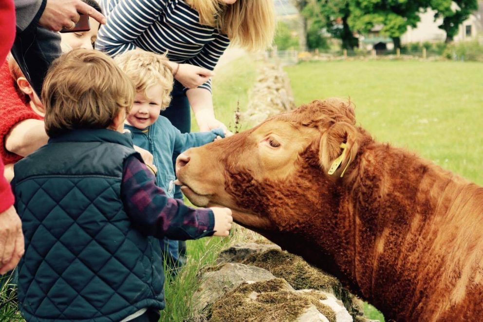 Plan Your June 2024 City Break in Dundee 41 NewtonFarm6