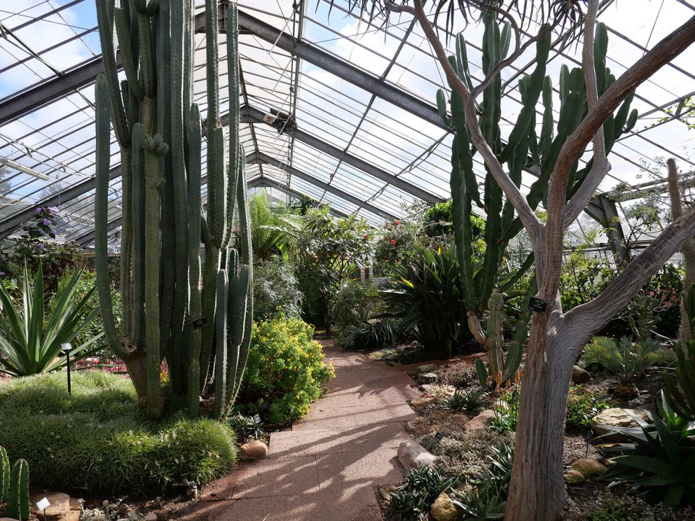botanics 1