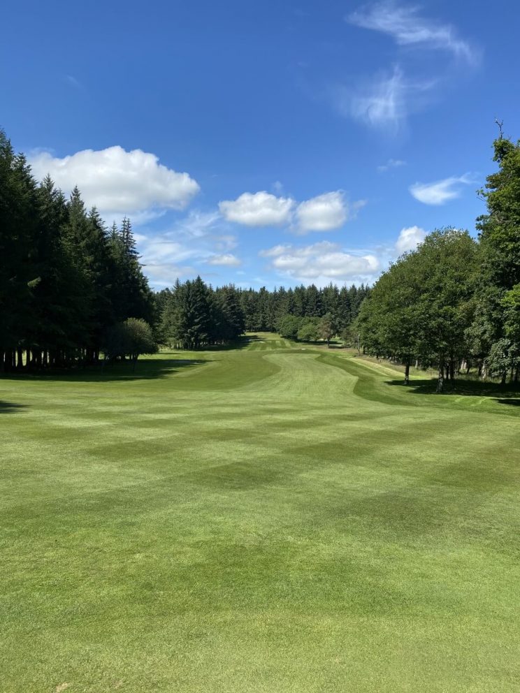 Downfield Golf Course is a Gateway to Greatness 4 DGC 8th