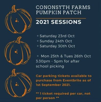 Pick your own Pumpkin at Cononsmyth Farm 9 Image 15 10 2021 at 22.22