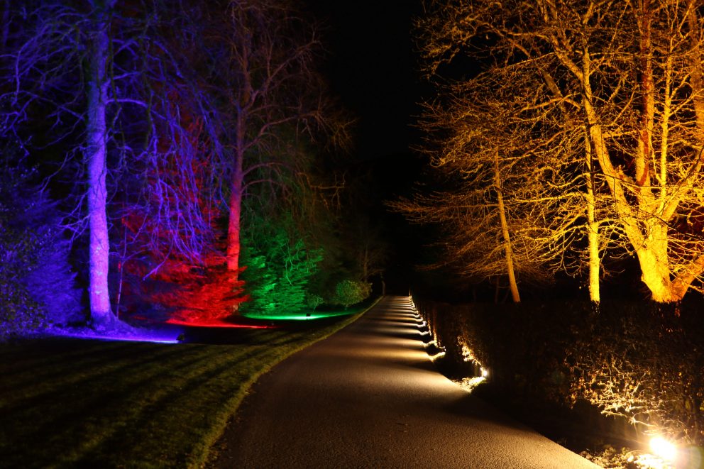 Discover Autumn Walks around Dundee 6 Light Show 2