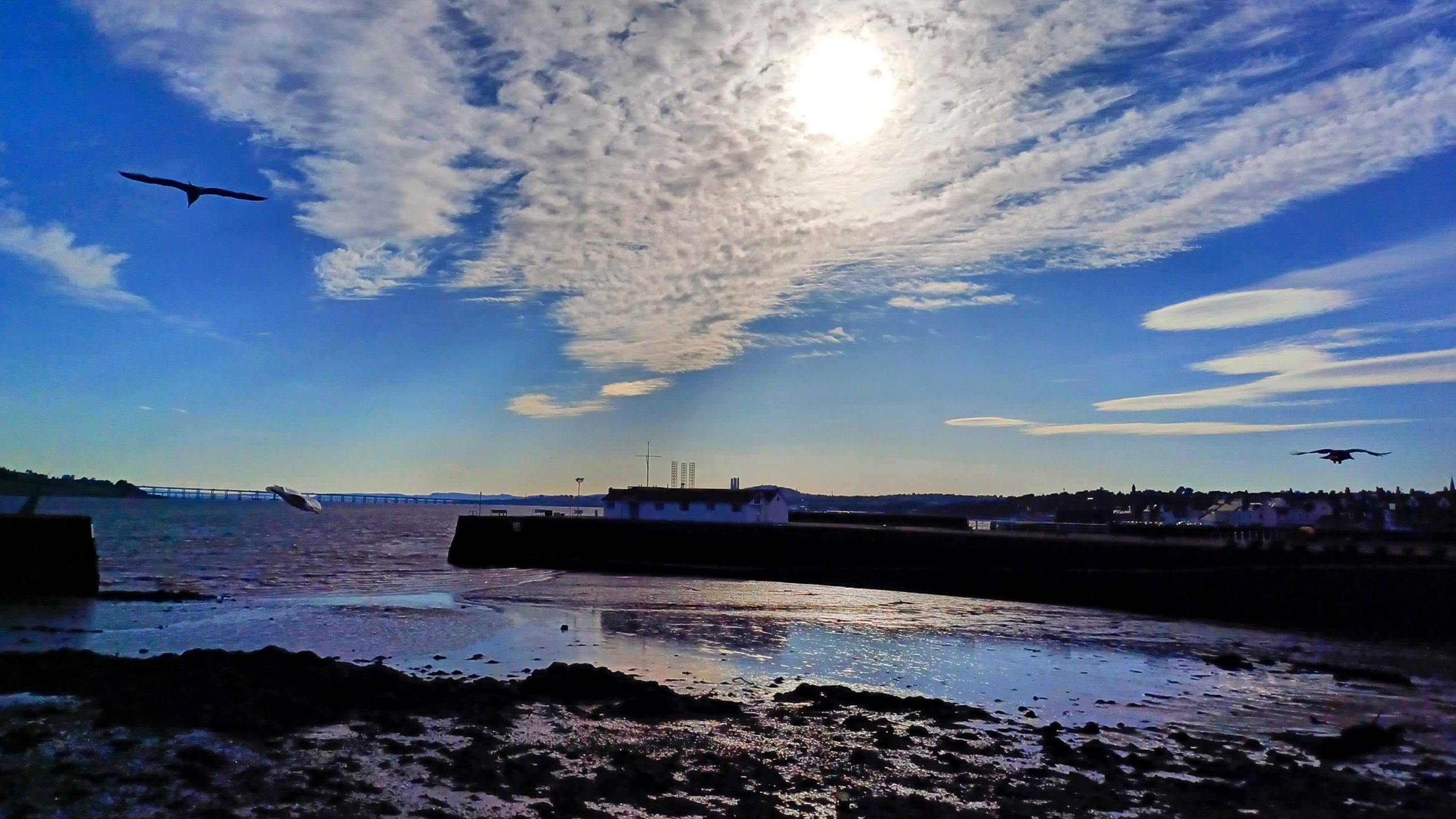 Dundee in Pics, Broughty Ferry With Jim Glover 2 20240603 18520202 scaled